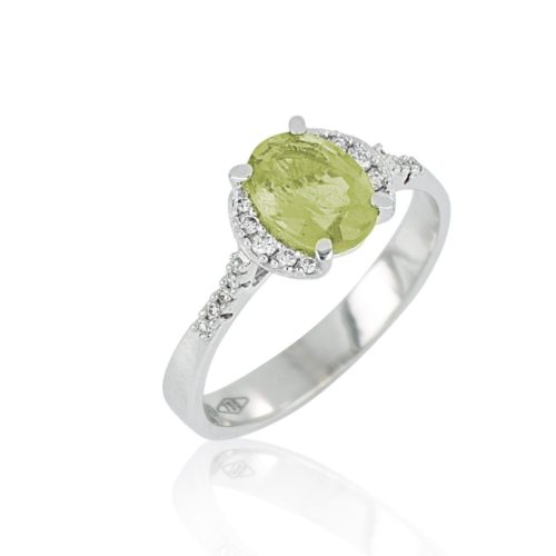Goldring mit Diamanten und Edelsteinen